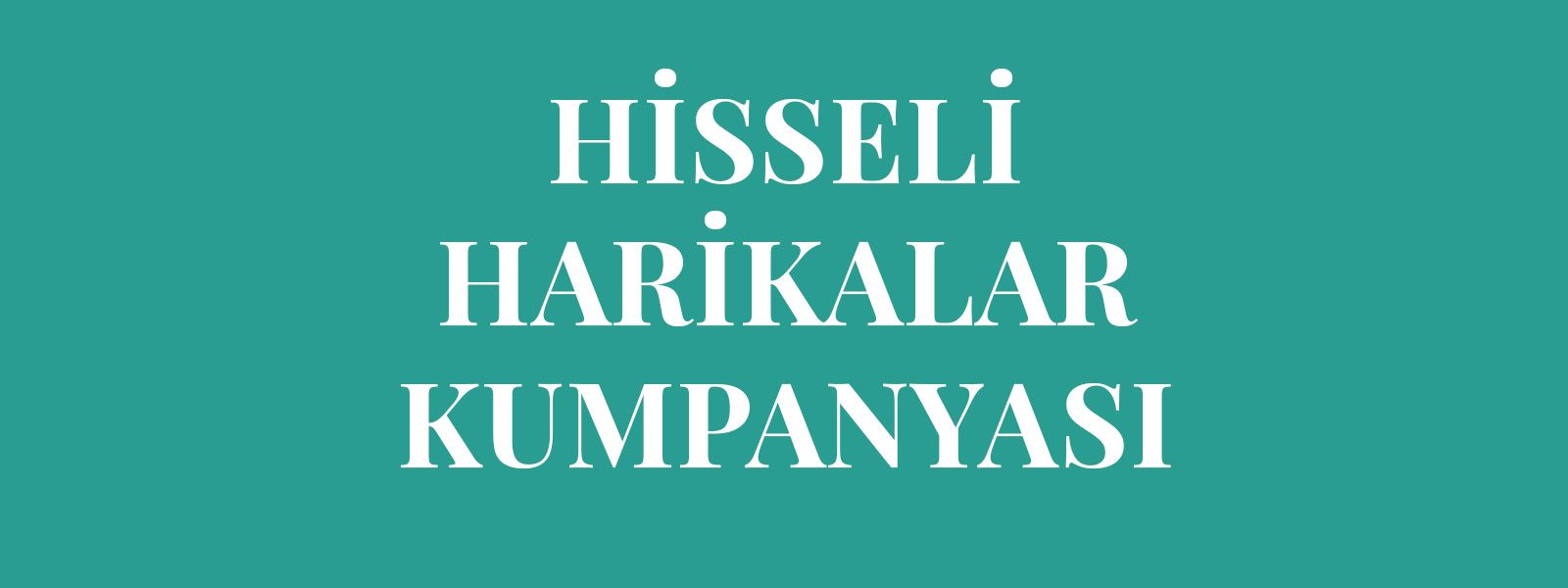 HİSSELİ HARİKALAR KUMPANYASI resmi
